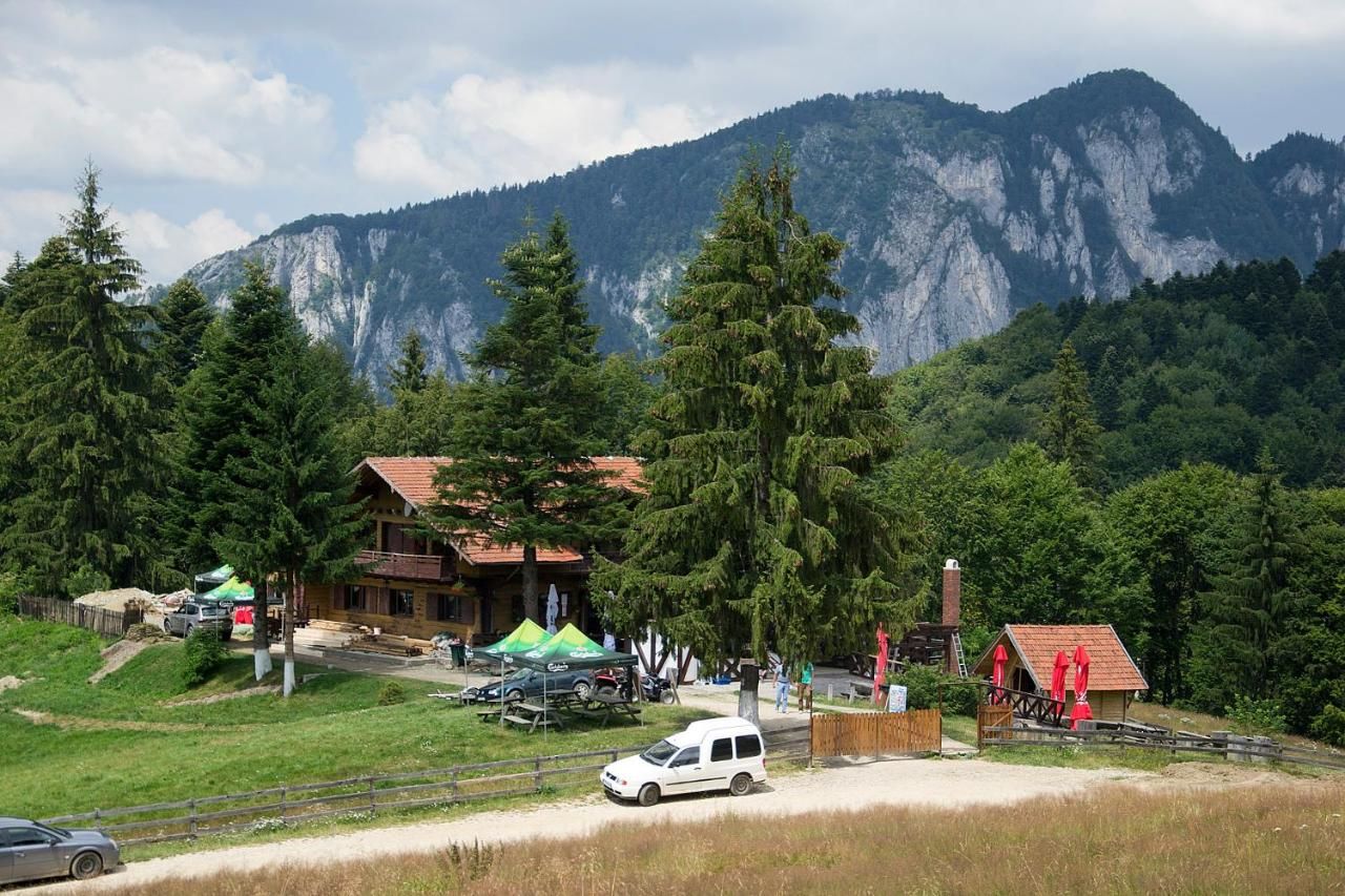 Гостевой дом Cabana Poiana Secuilor Предял-24