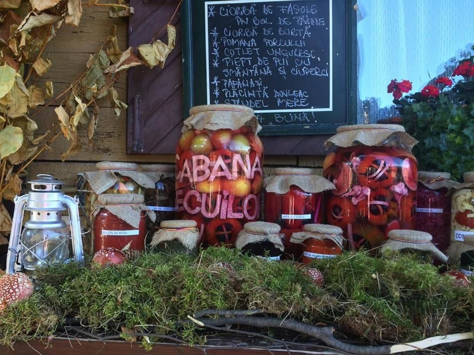 Гостевой дом Cabana Poiana Secuilor Предял-36