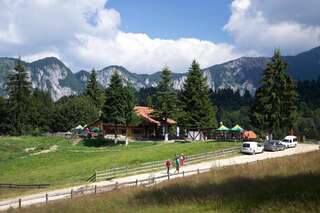 Гостевой дом Cabana Poiana Secuilor Предял-0